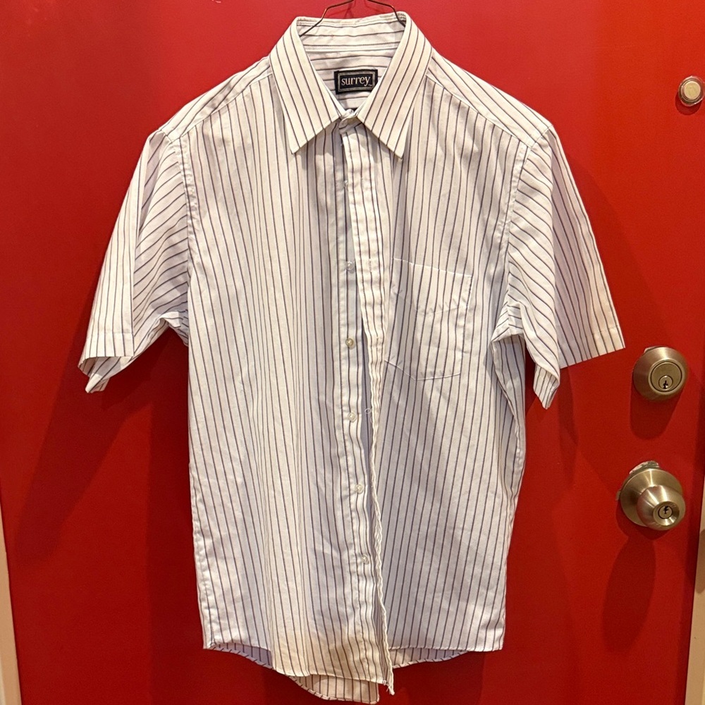 Surrey Men's Blue and White Striped Casual Shirt